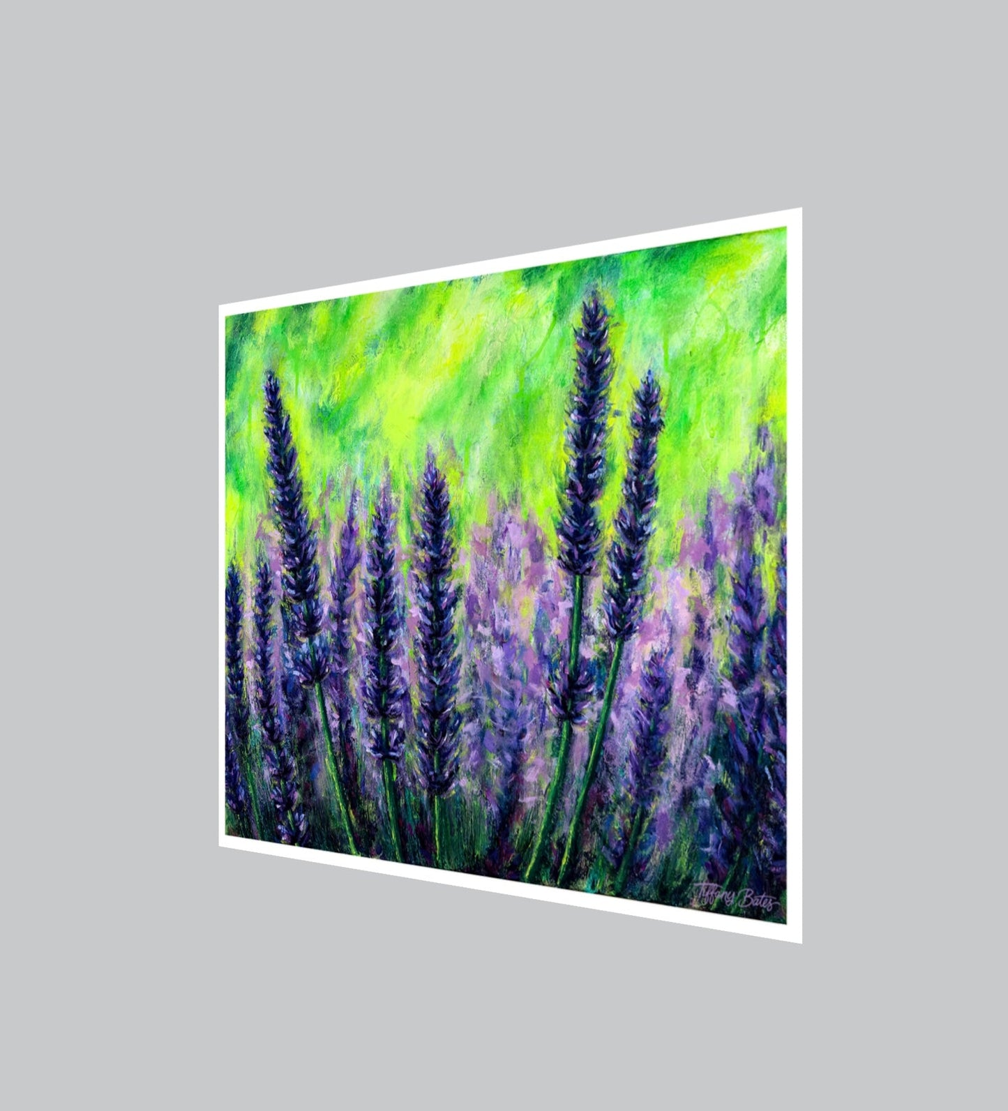 Lavendar Fields Forever - Fine Art Print - Multiple Sizes