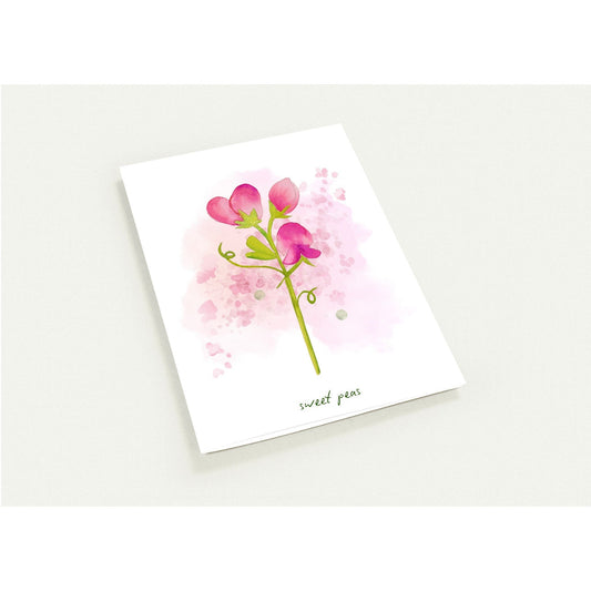 Luxury Notecards ~ Sweet Peas - Pack of 4