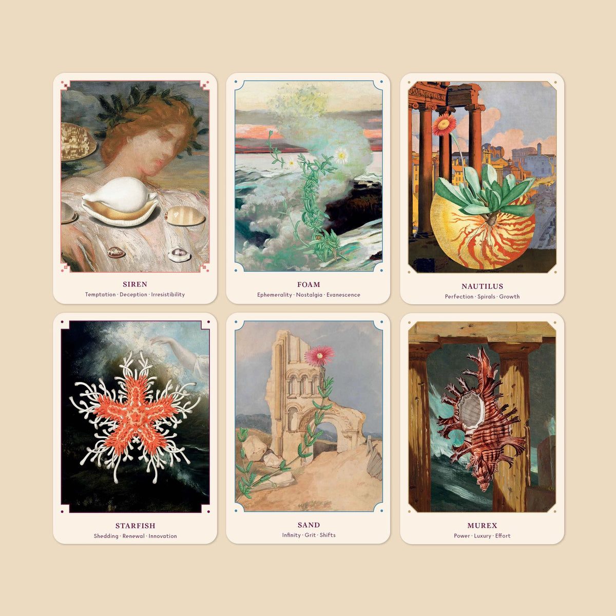 The Seashell Oracle - Listen to the Wisdom of the Tides