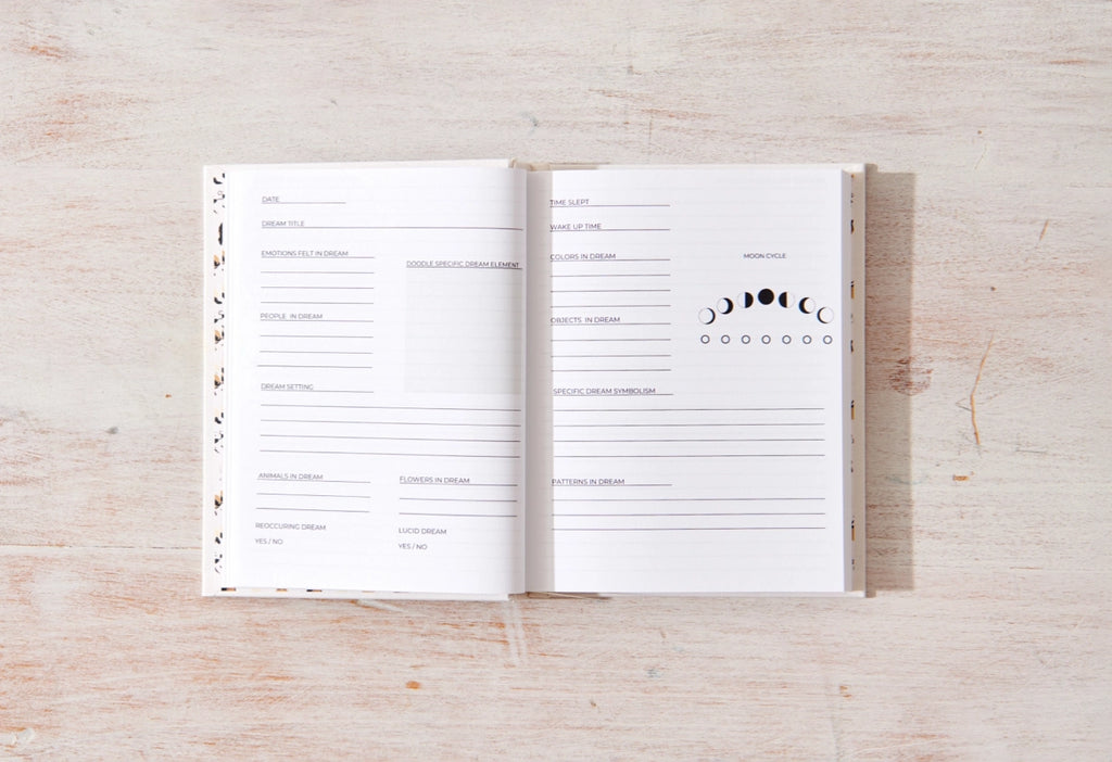 Dream Journal - By Danica Gim