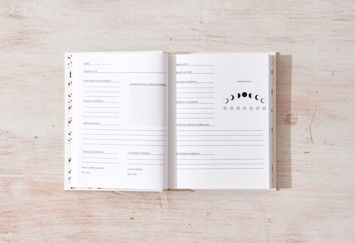 Dream Journal - By Danica Gim