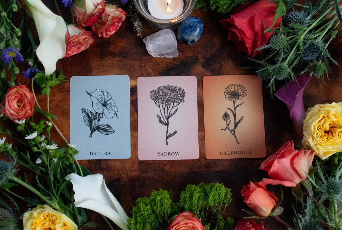 Magic Flowers Oracle Deck - A Botanical Guide to Wisdom & Whispers