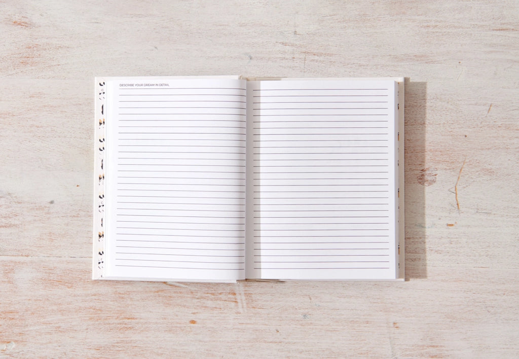 Dream Journal - By Danica Gim