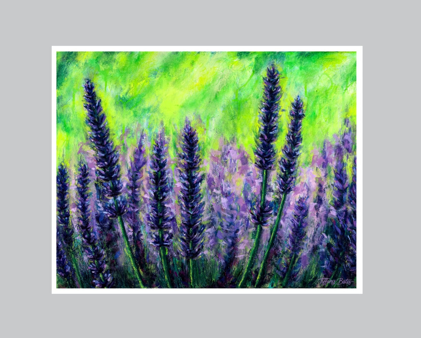 Lavendar Fields Forever - Fine Art Print - Multiple Sizes