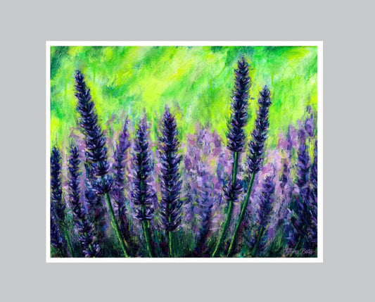 Lavendar Fields Forever - Fine Art Print - Multiple Sizes