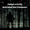 Adopt a Cryptid | Mystery Box by Maison du Corbeau