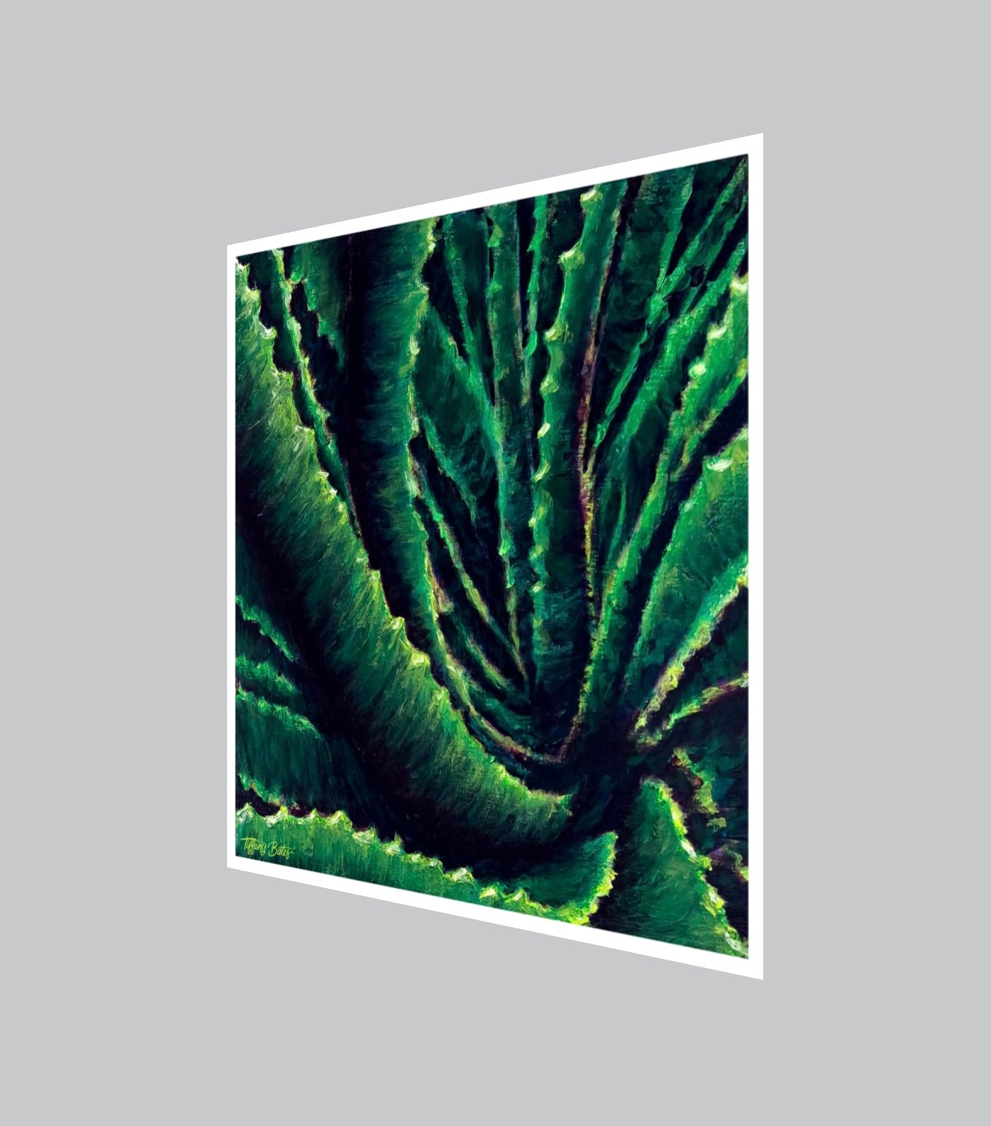 Aloe Confluence - Fine Art Print - Multiple Sizes