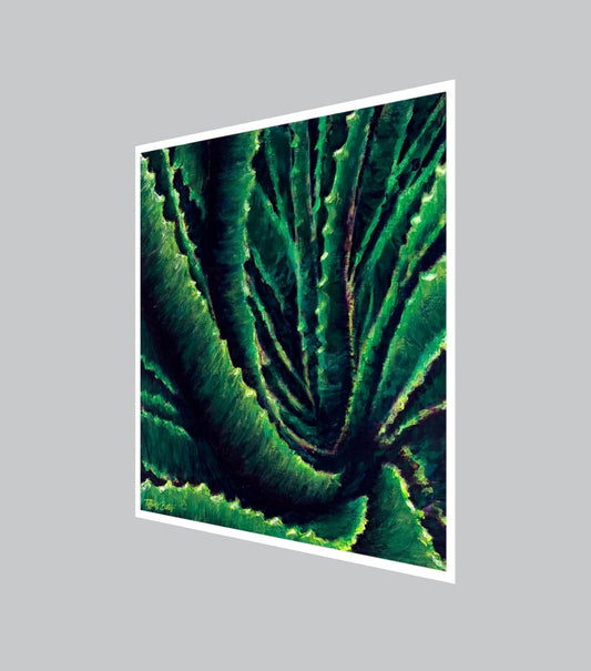 Aloe Confluence - Fine Art Print - Multiple Sizes