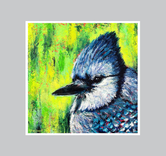 Bluejay’s Gaze - Fine Art Print - Multiple Sizes