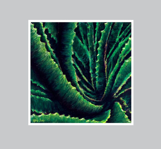 Aloe Confluence - Fine Art Print - Multiple Sizes