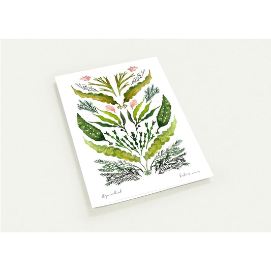 Luxury Notecards ~ Ægir Scandinavian Folk Art - Pack of 4