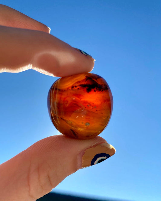 Zebra Amber Tumbled Stone - Balance & Clarity